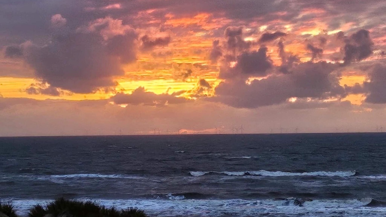 Photo of Others in Henne Strand