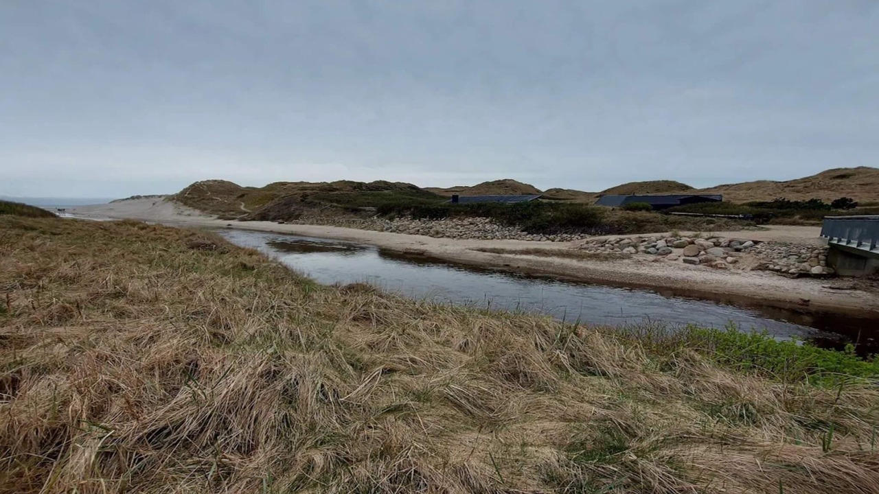 Photo of Others in Henne Strand