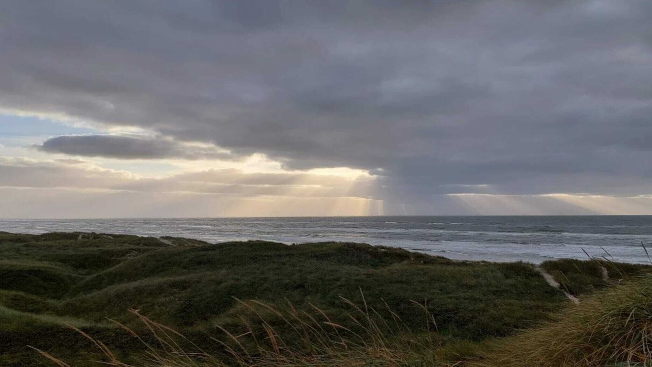 Photo of Others in Henne Strand