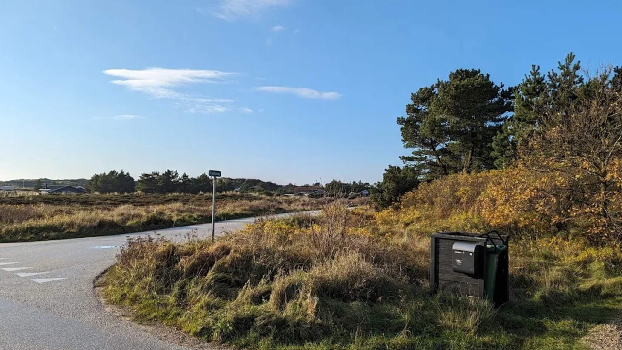 Photo of Others in Henne Strand