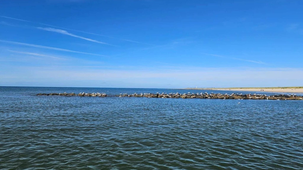 Photo of Others in Henne Strand