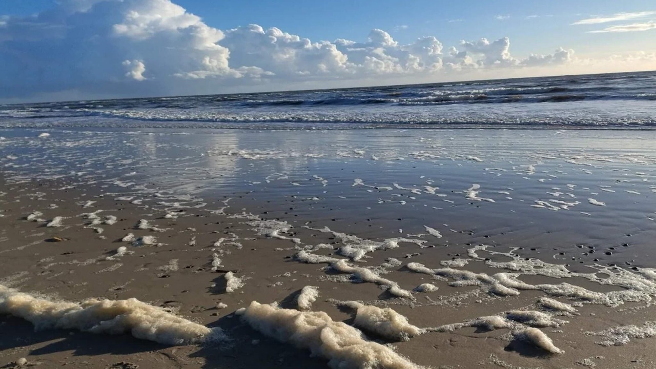 Photo of Others in Henne Strand