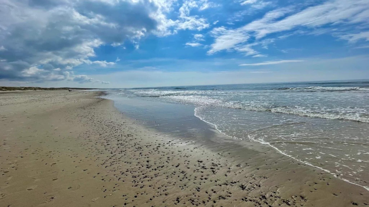 Photo of Others in Henne Strand