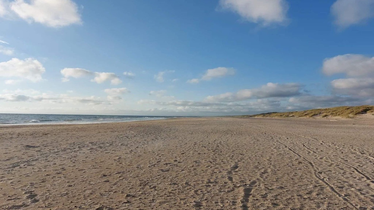 Photo of Others in Henne Strand