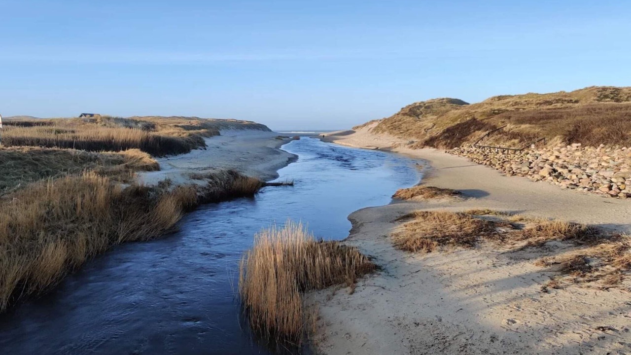 Photo of Others in Henne Strand