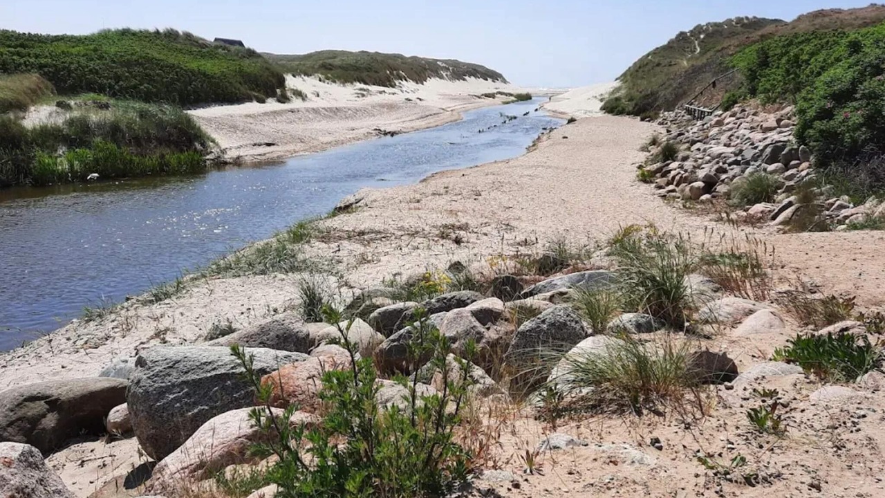Photo of Others in Henne Strand