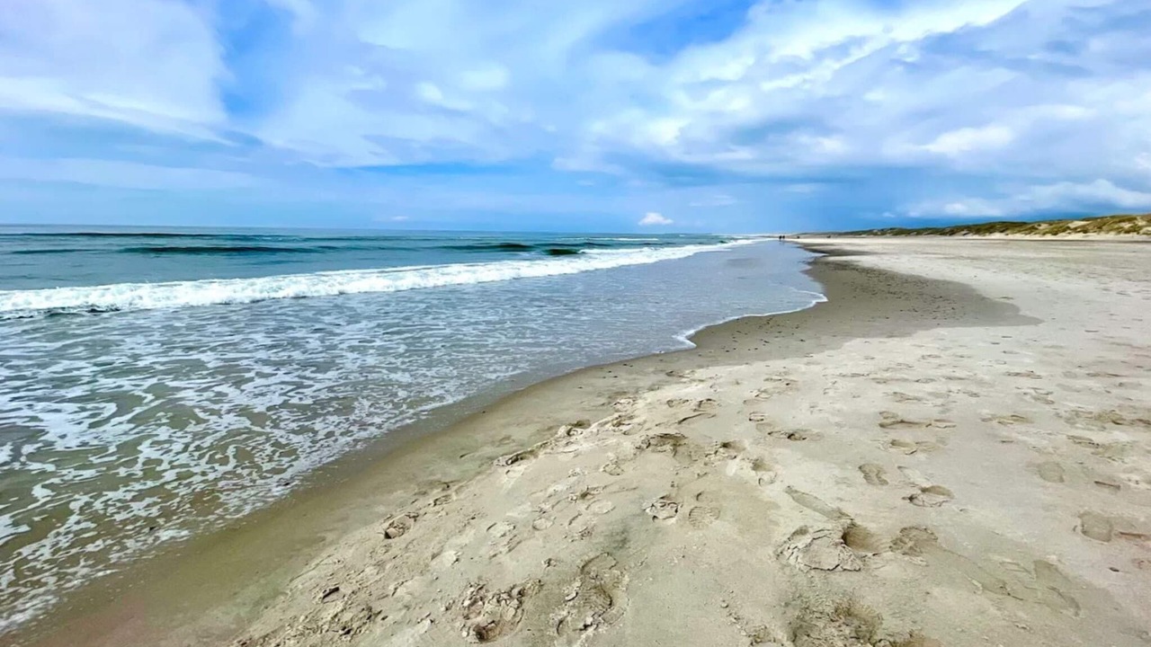 Photo of Others in Henne Strand