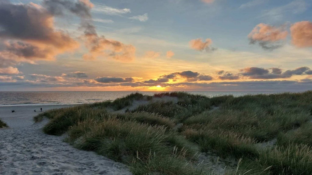 Photo of Others in Henne Strand