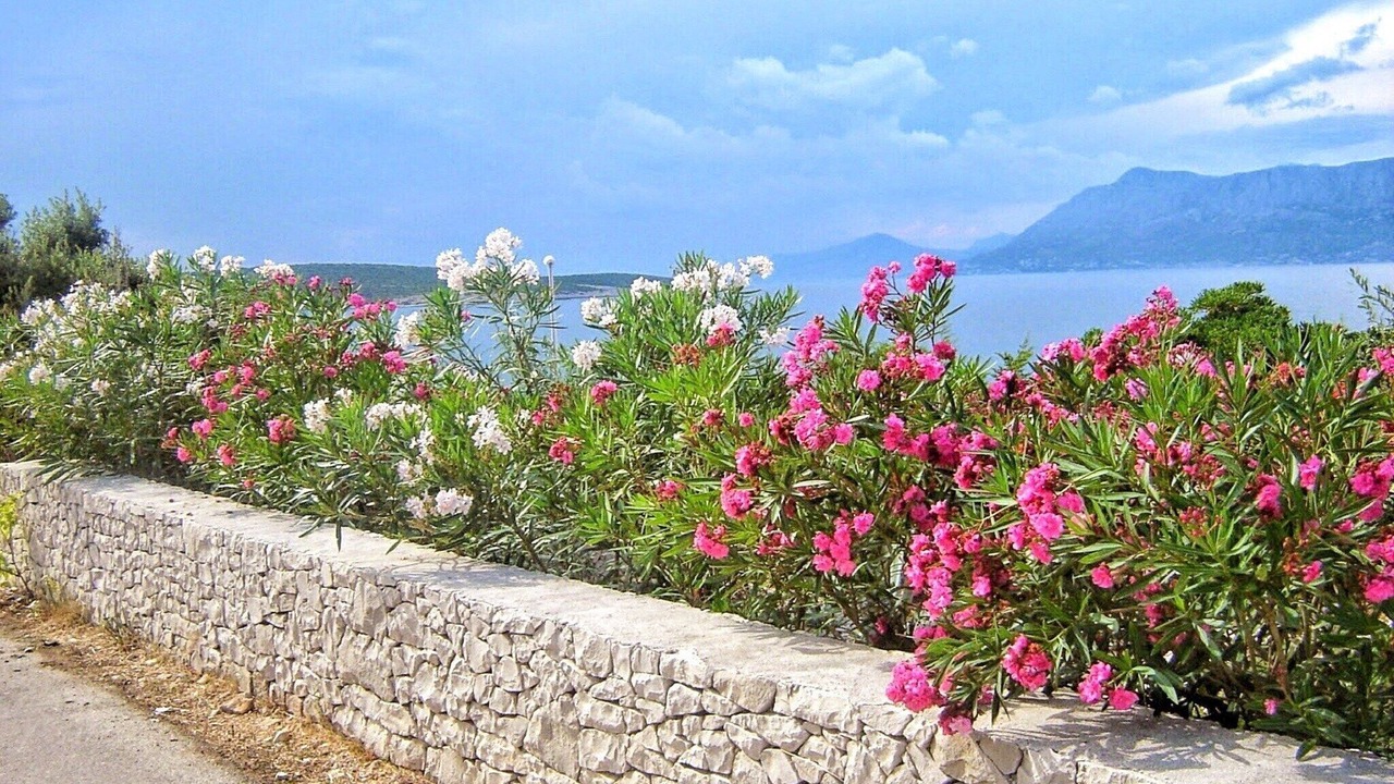 Photo of Outdoor in Povlja