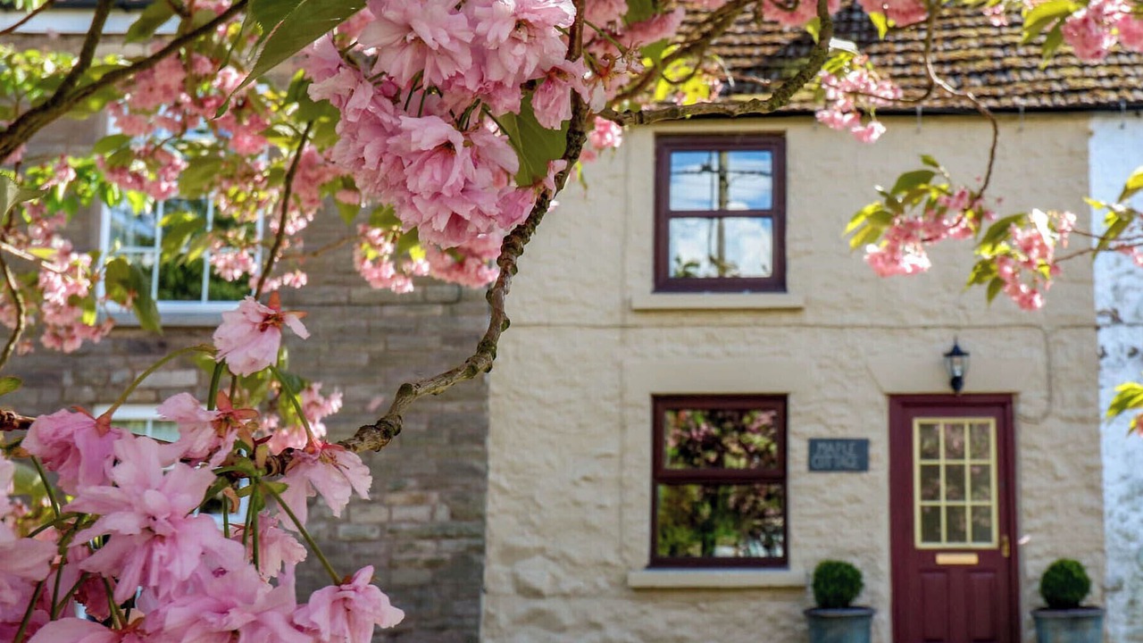 Photo of Outdoor in Headlam