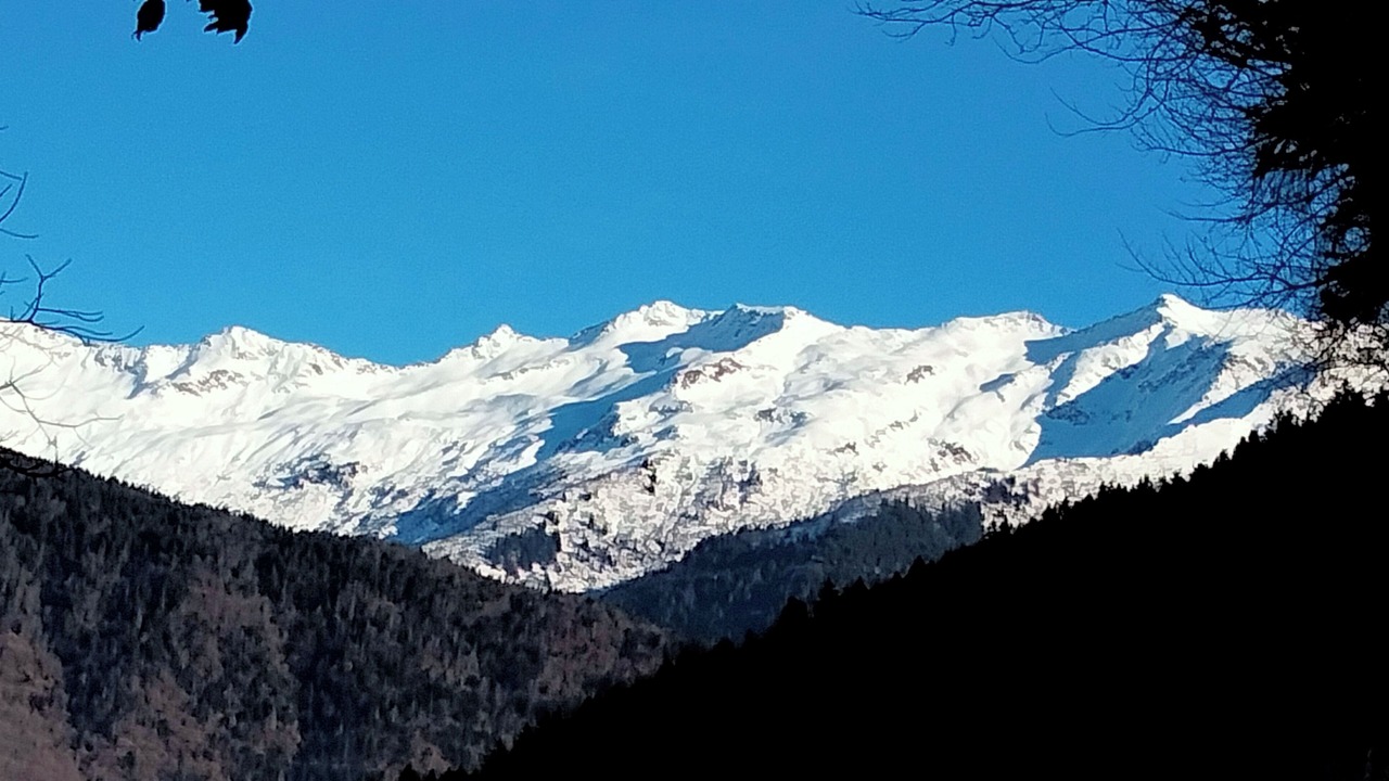 Photo of Others in Montgilbert