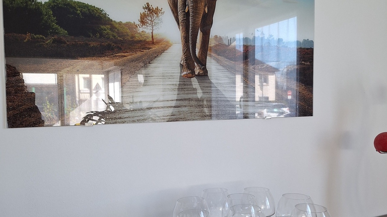 Photo of Others in Saint-Omer