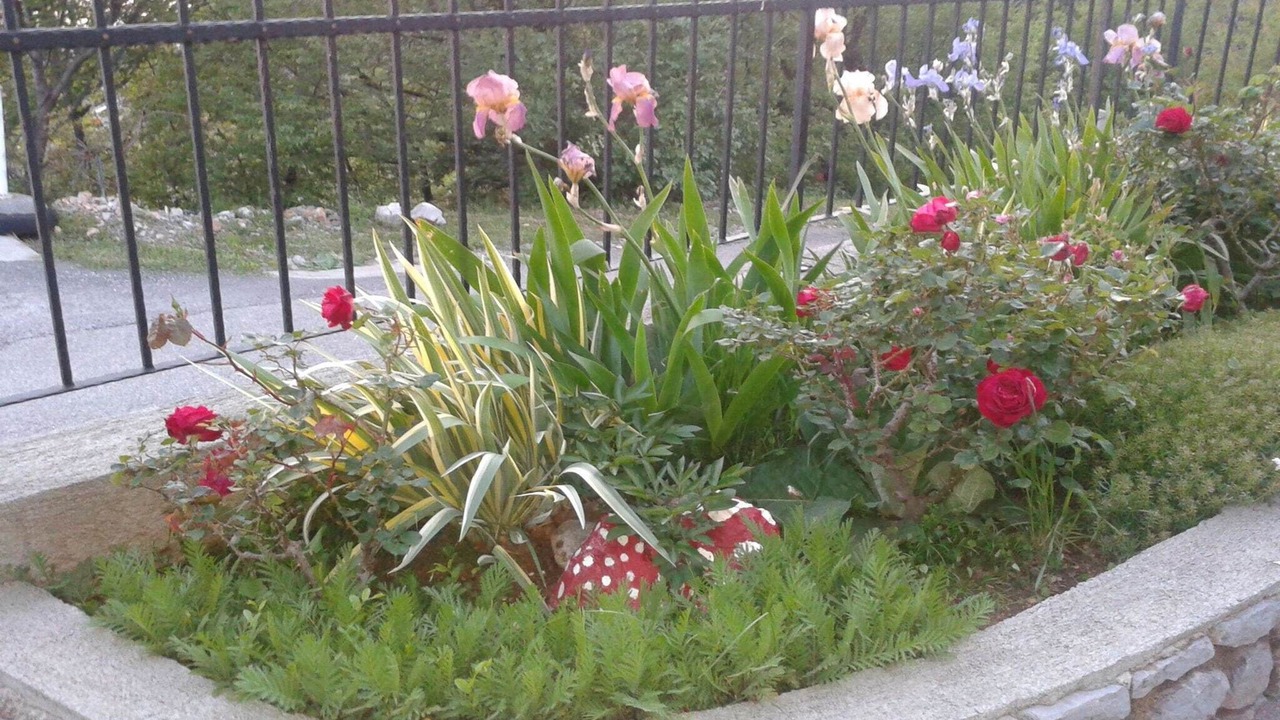 Photo of Outdoor in Vratarusa