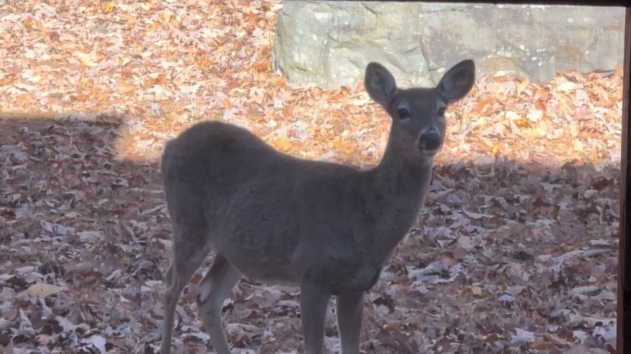 Photo of Others in East Stroudsburg