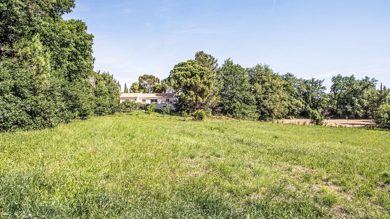 Photo of Others in Montauriol