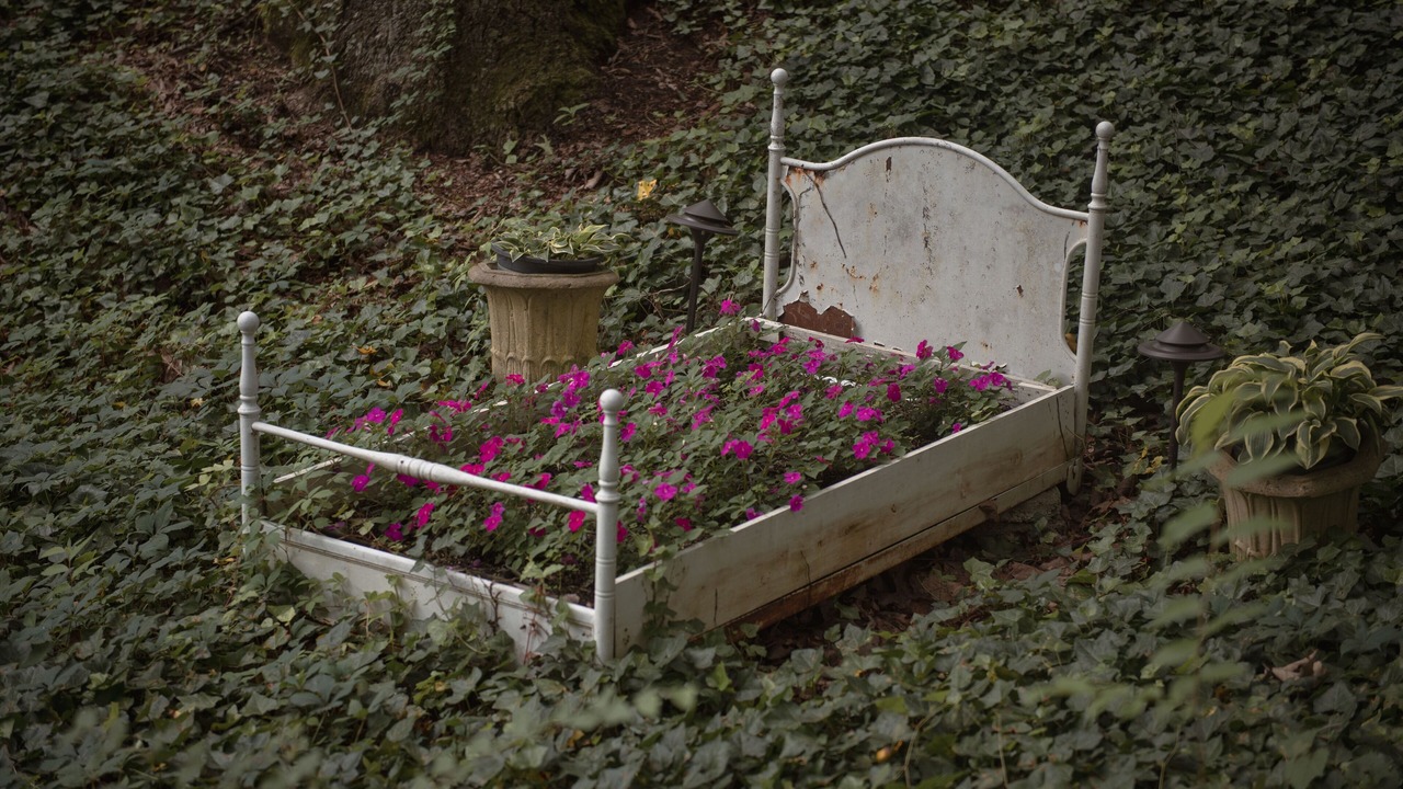 Photo of Outdoor in Lookout Mountain