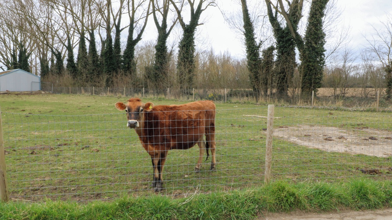 Photo of Others in Spalding