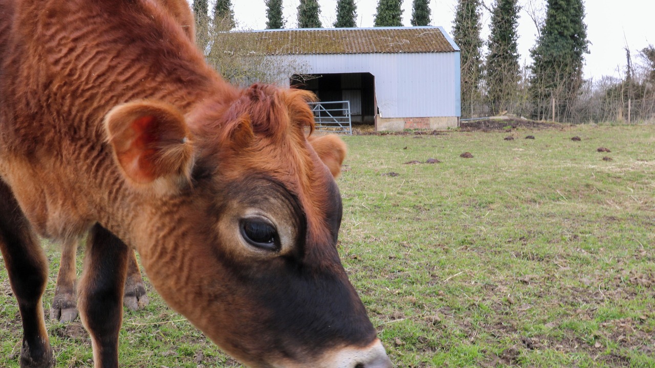 Photo of Others in Spalding