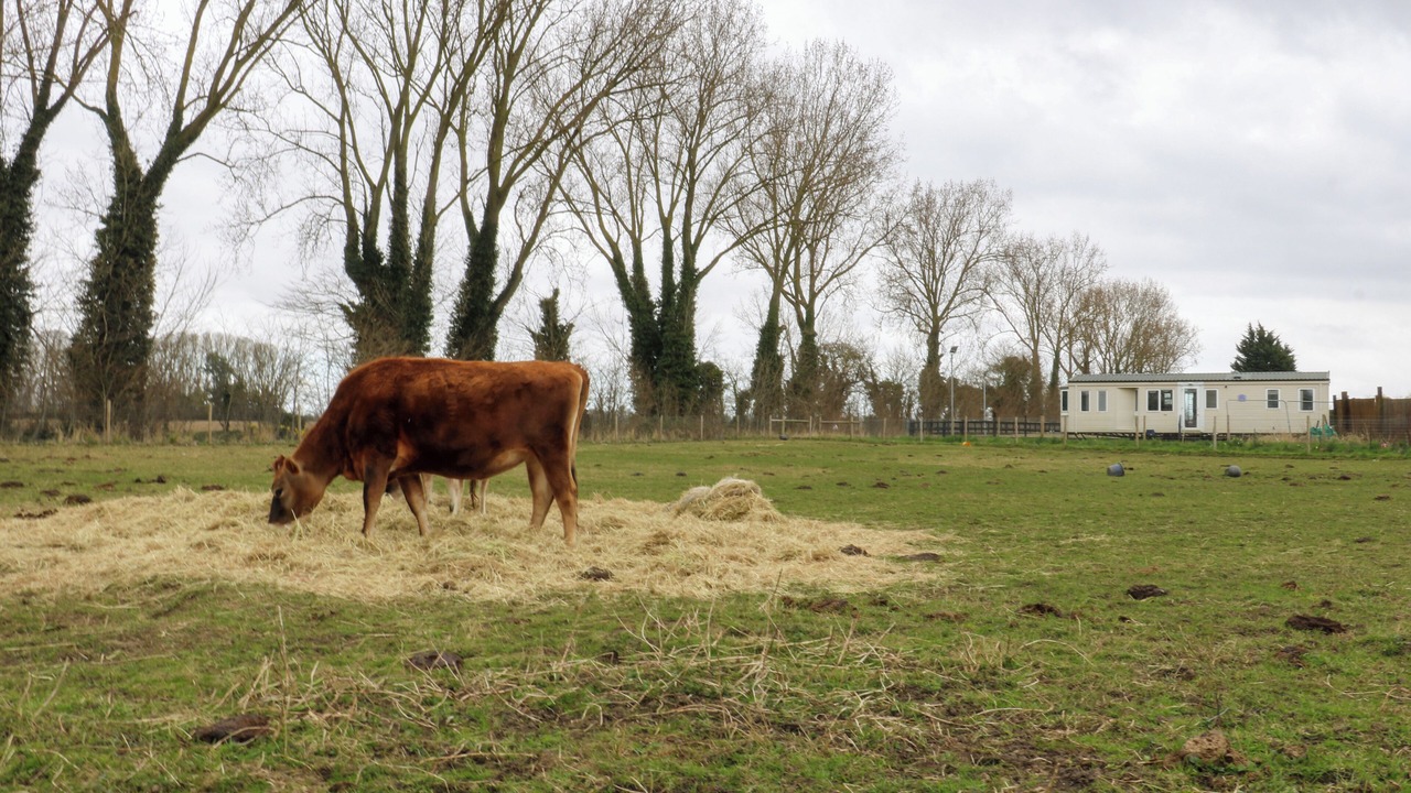 Photo of Others in Spalding