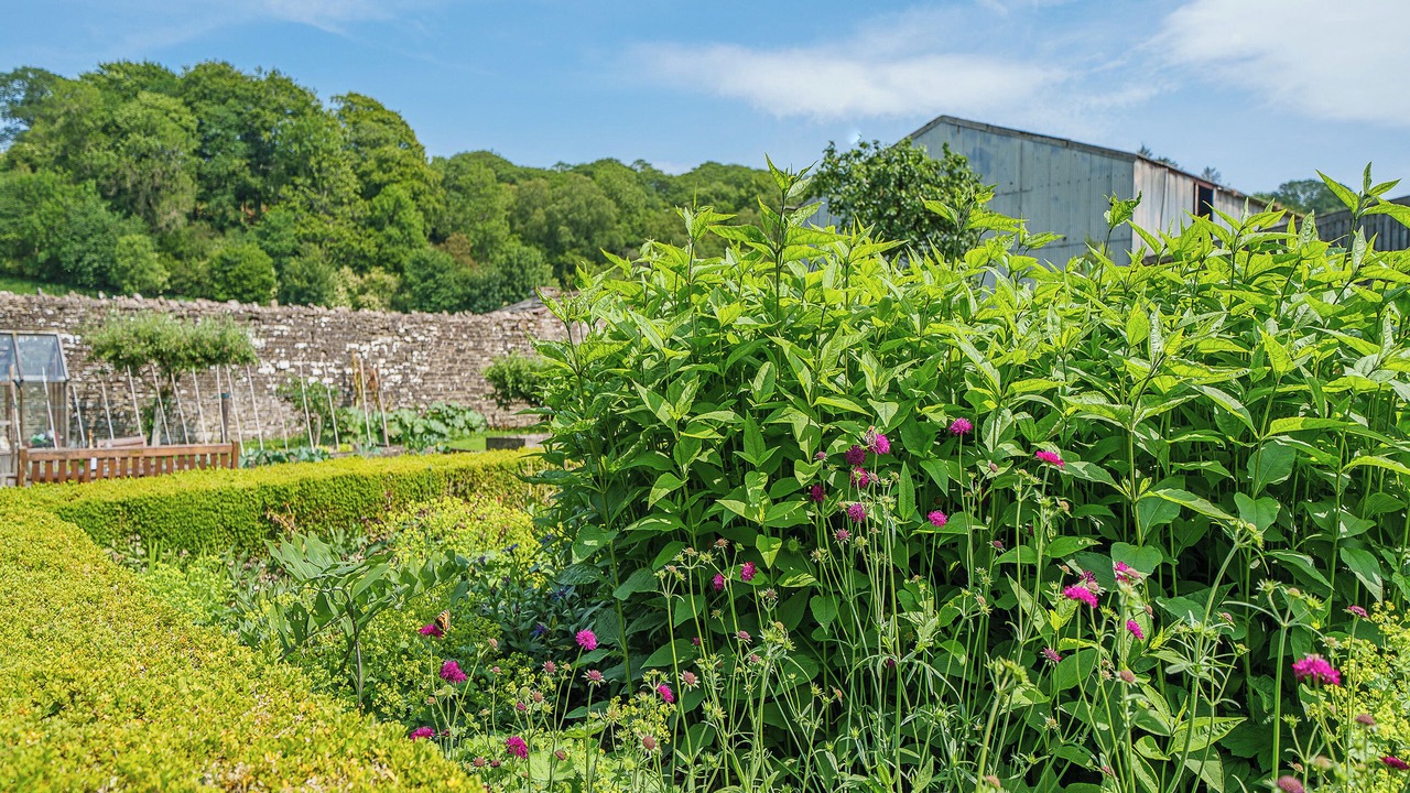 Photo of Outdoor in Wing