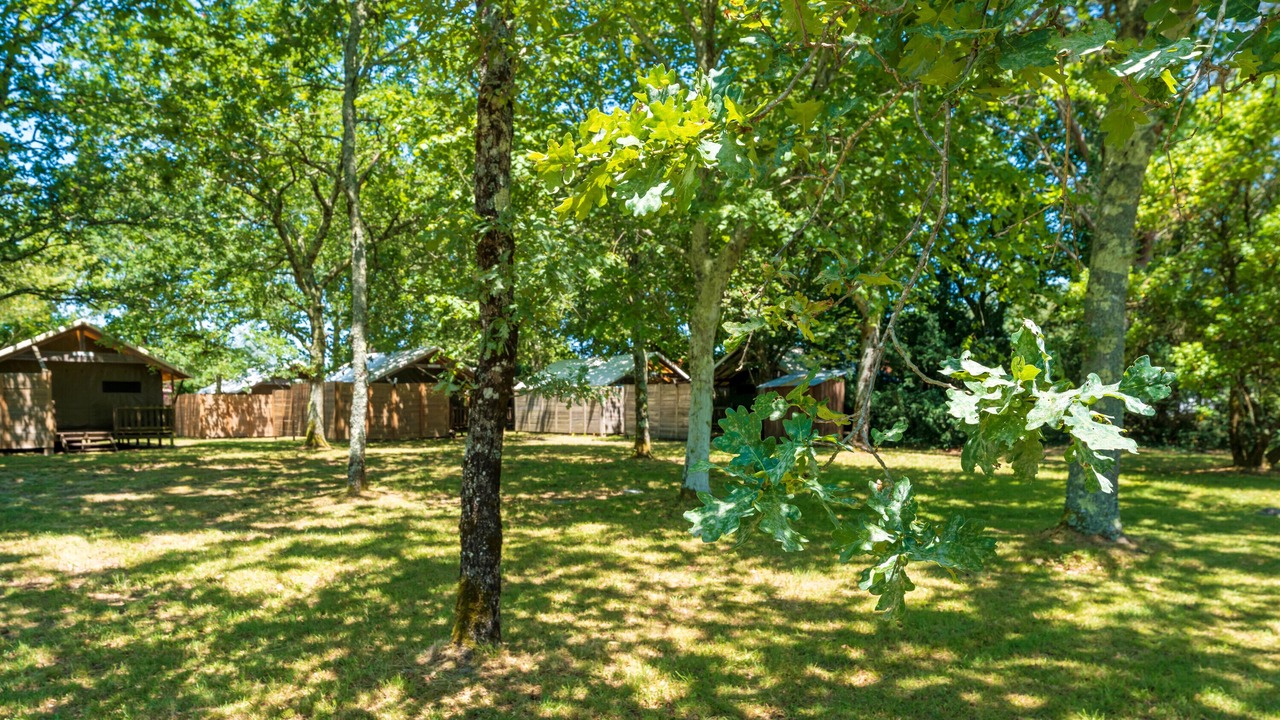 Photo of Outdoor in Lesperon