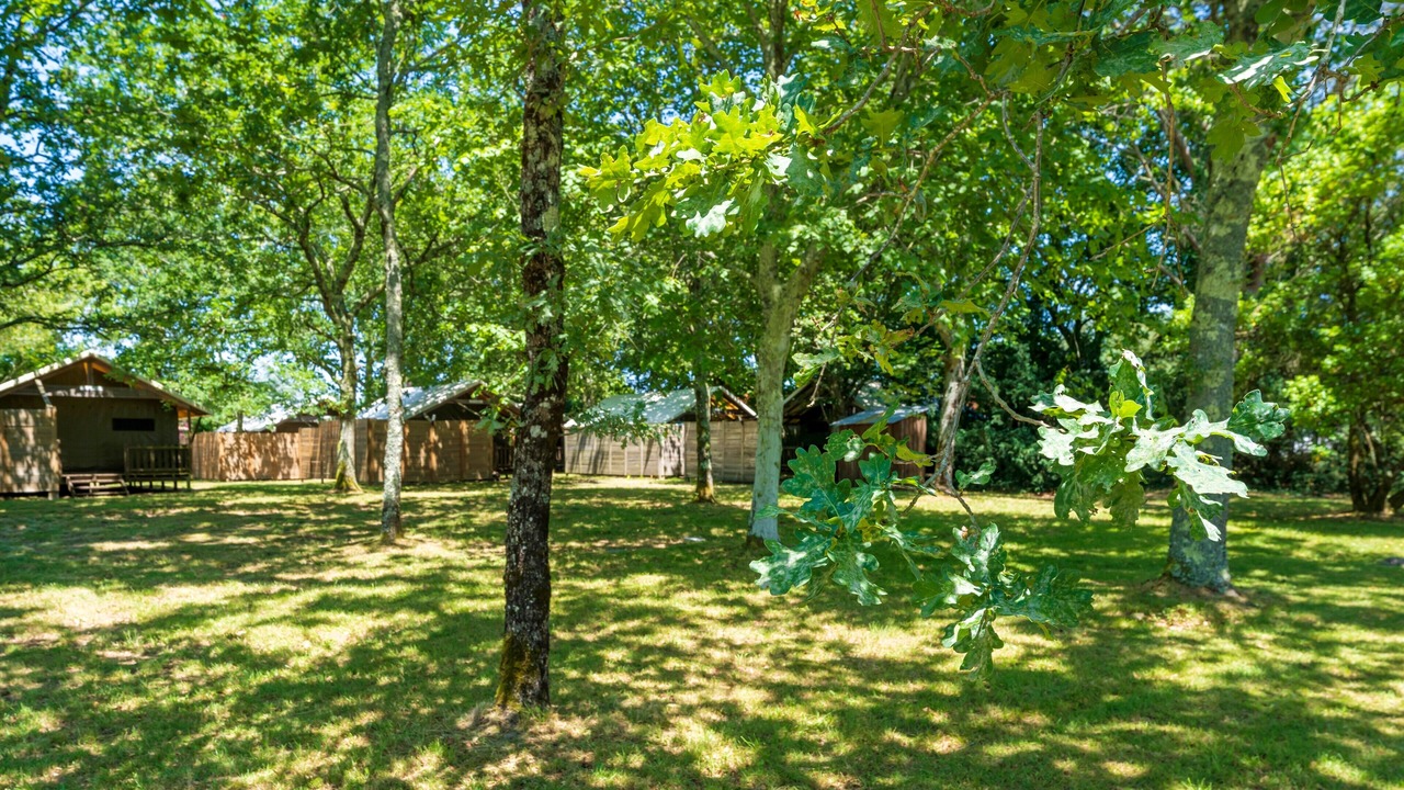 Photo of Outdoor in Lesperon