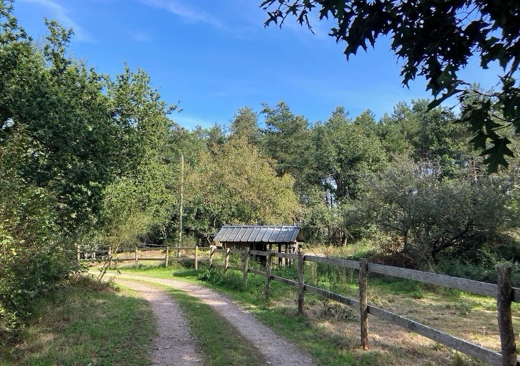 Photo of Others in Talensac