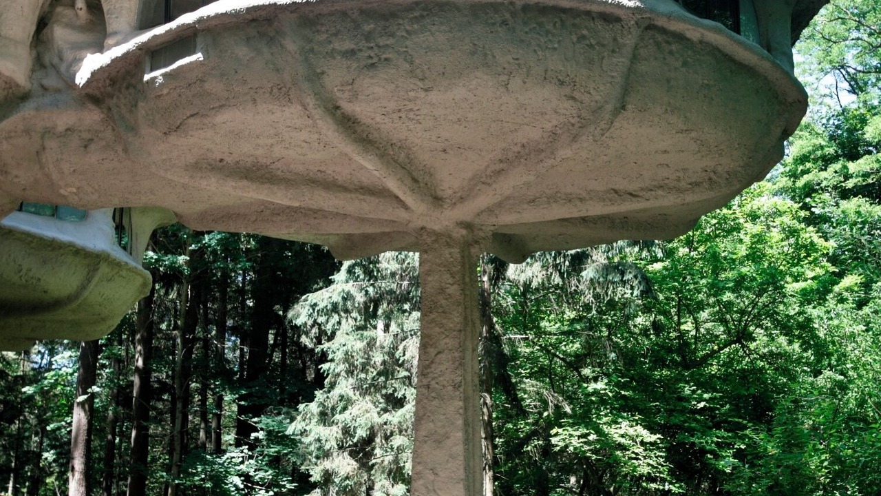 Photo of Outdoor in Pittsford