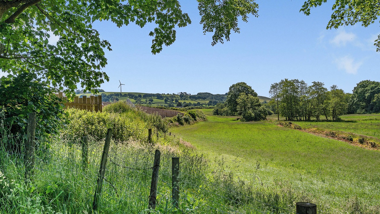 Photo of Others in Cribyn