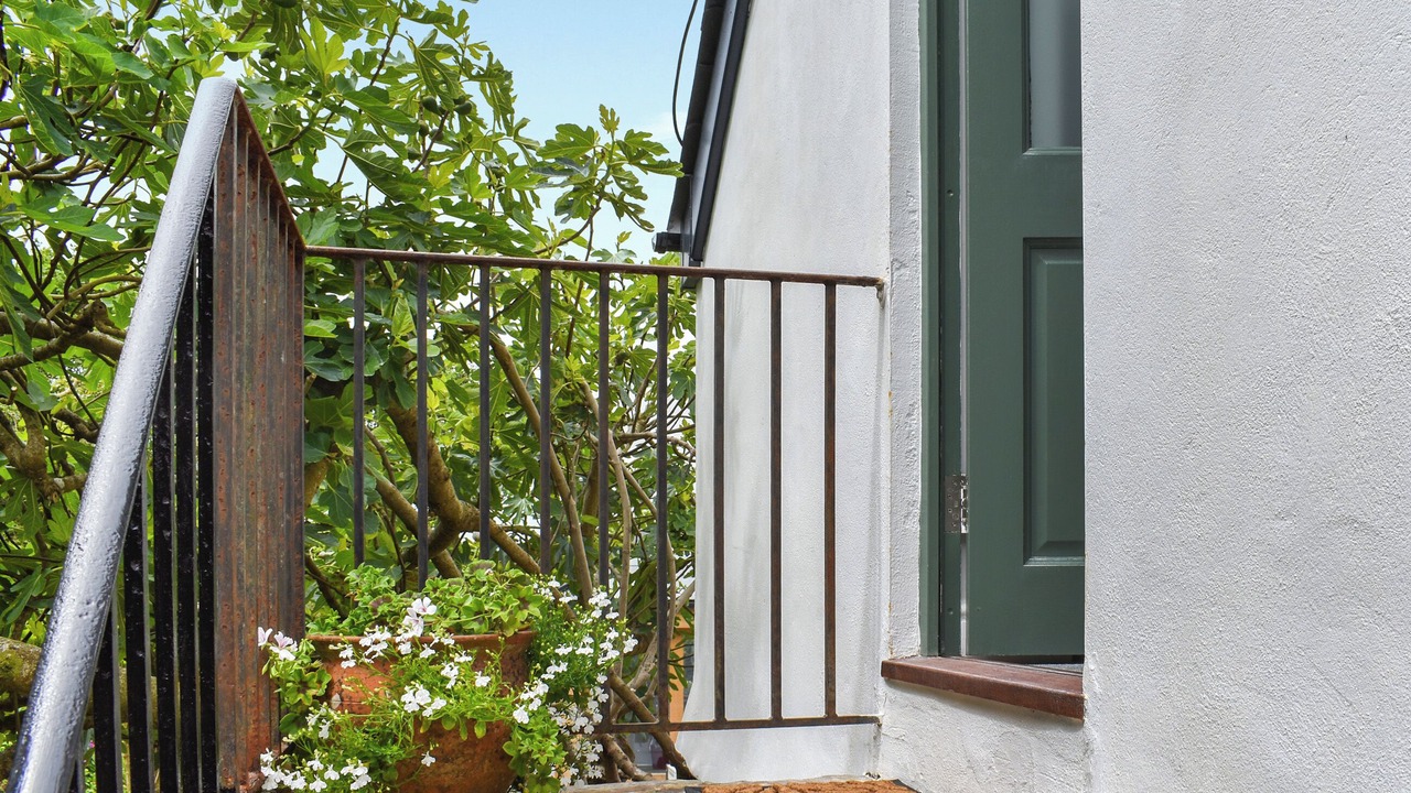 Photo of Outdoor in Philleigh