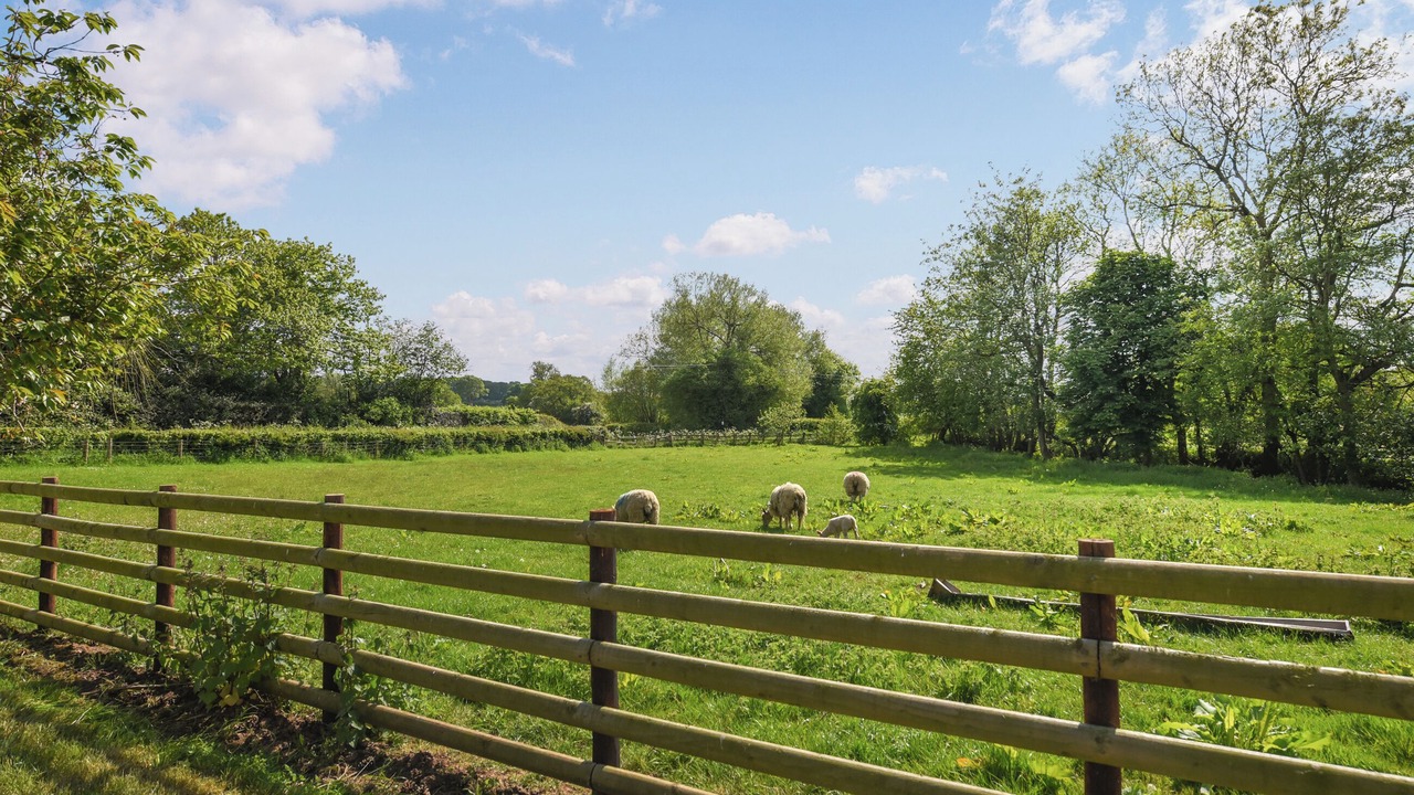 Photo of Others in Boraston