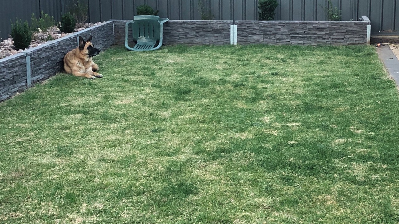 Photo of Outdoor in Evanston Gardens