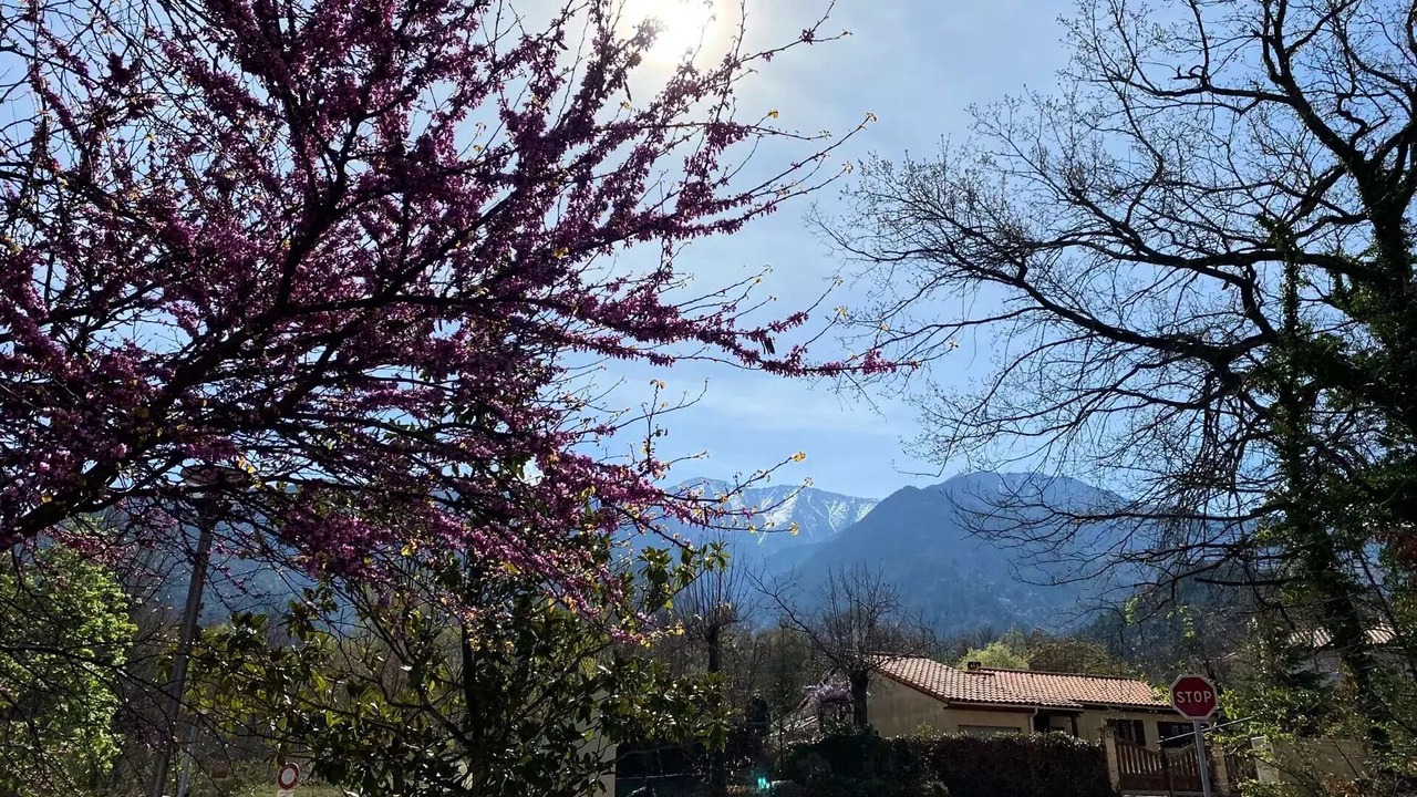 Photo of Outdoor in Vernet-les-Bains