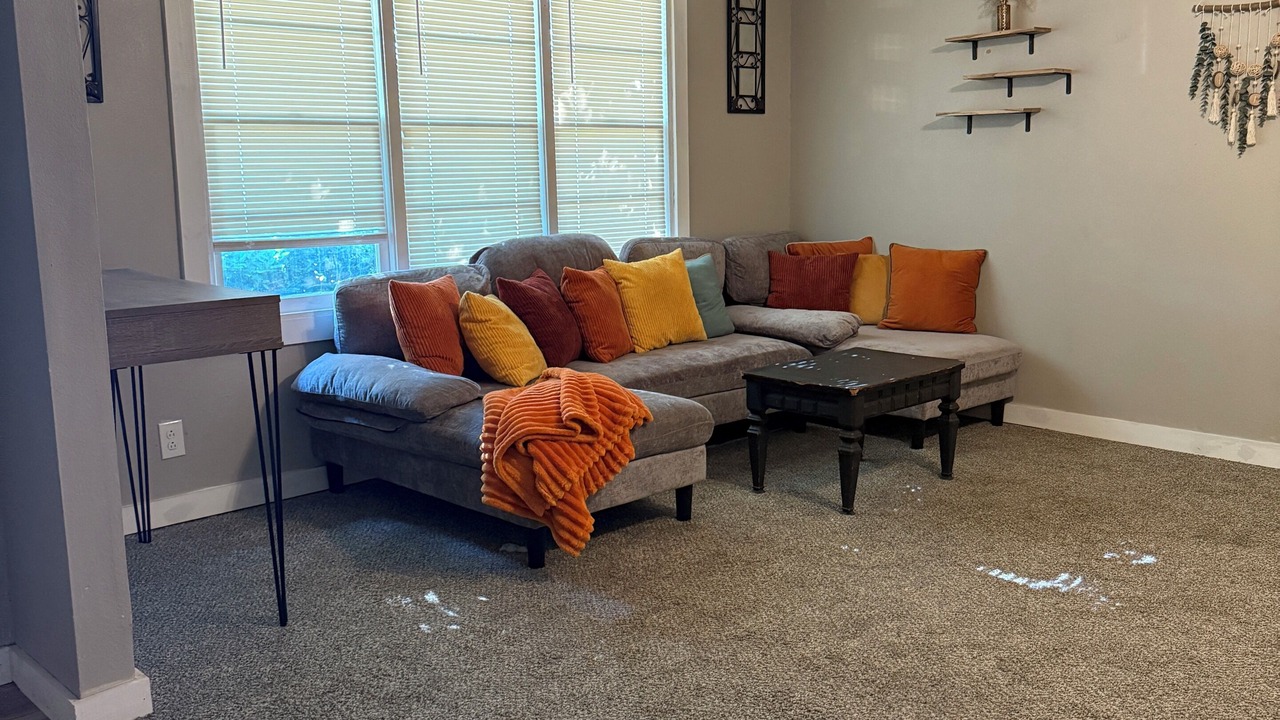 Photo of Livingroom in Plainview