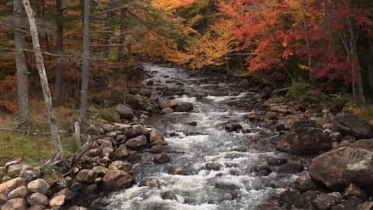 Photo of Outdoor in Town of Webb
