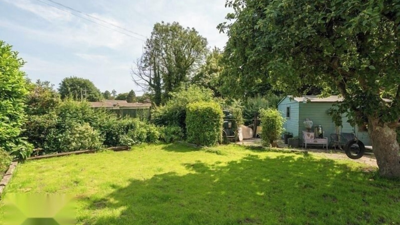 Photo of Others in Dorchester