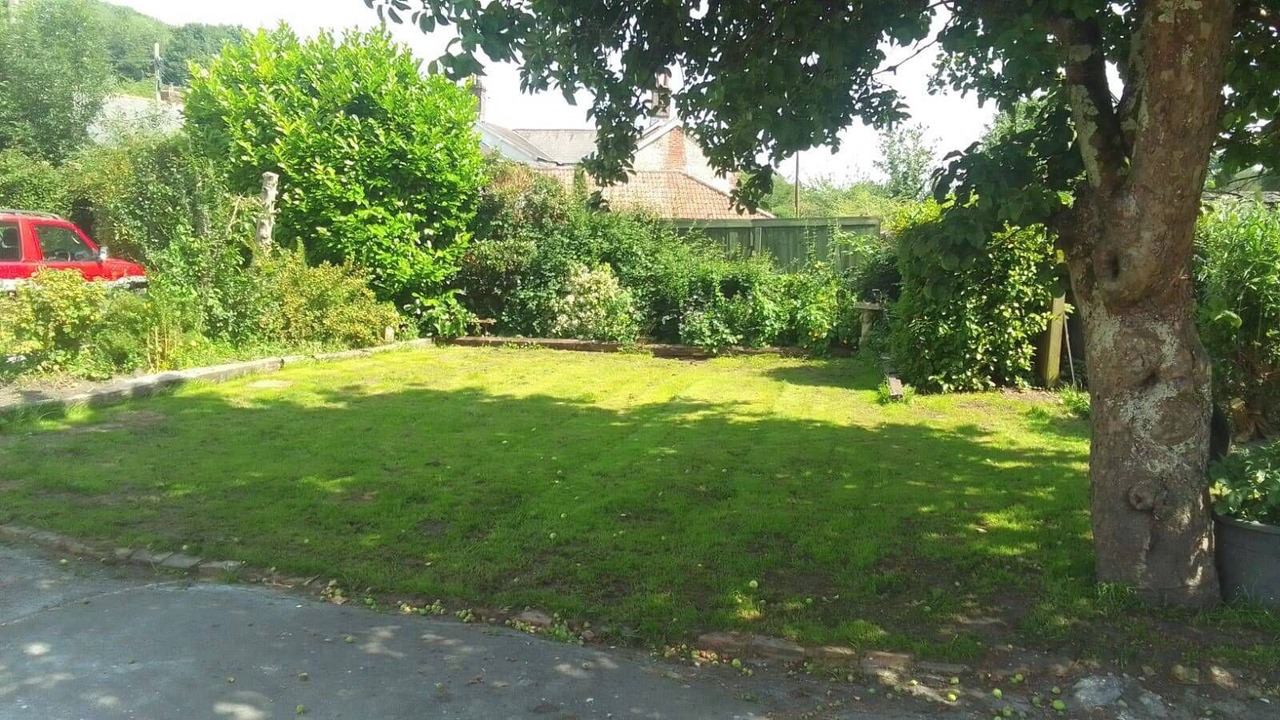 Photo of Others in Dorchester