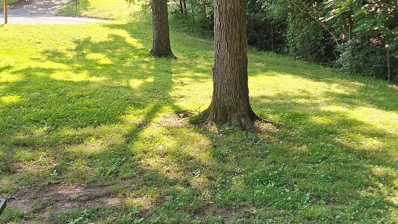 Photo of Outdoor in Durham