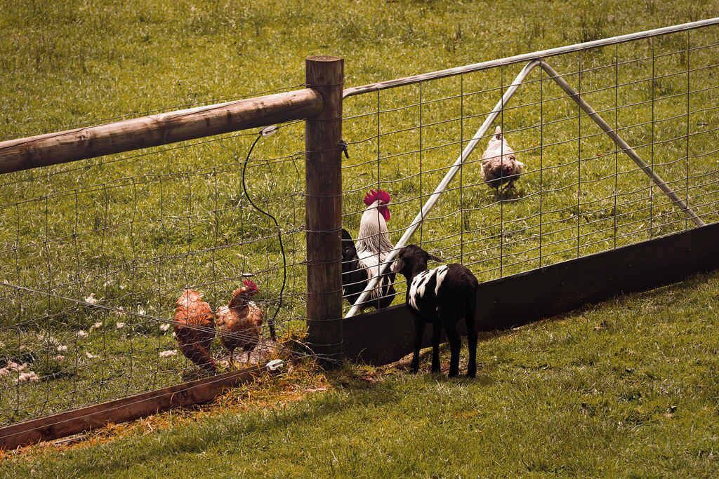 Photo of Others in Wesburn