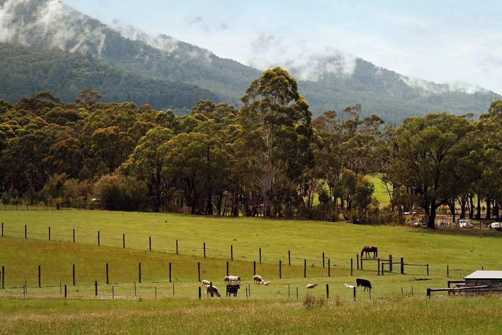 Photo of Others in Wesburn