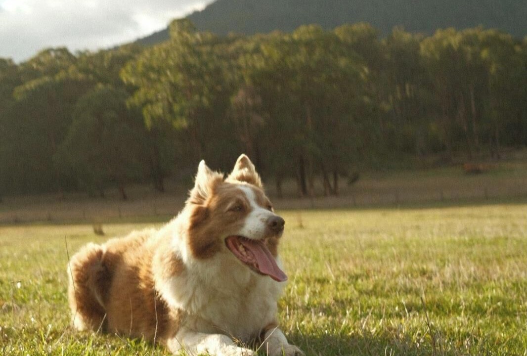 Photo of Others in Wesburn