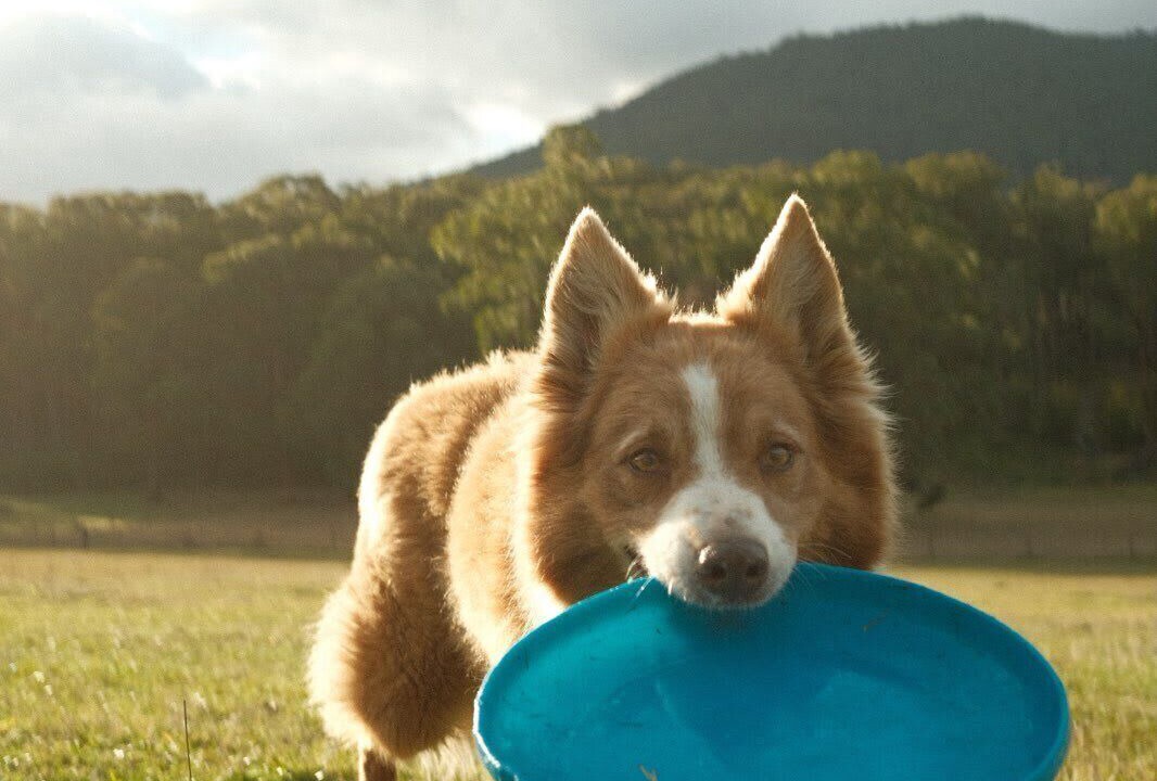 Photo of Others in Wesburn