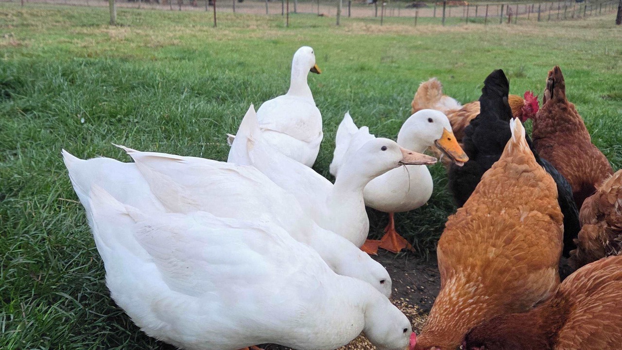 Photo of Others in Wesburn