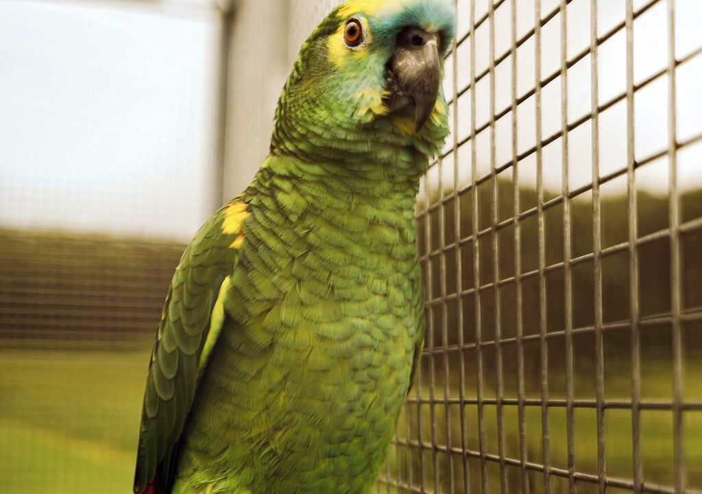 Photo of Others in Wesburn