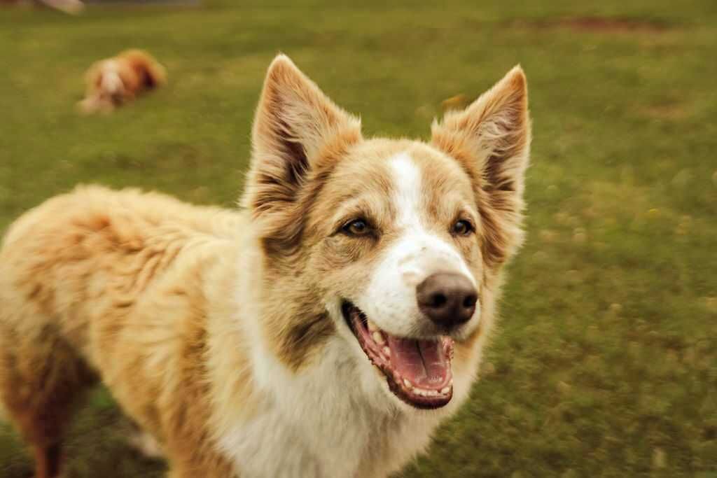 Photo of Others in Wesburn