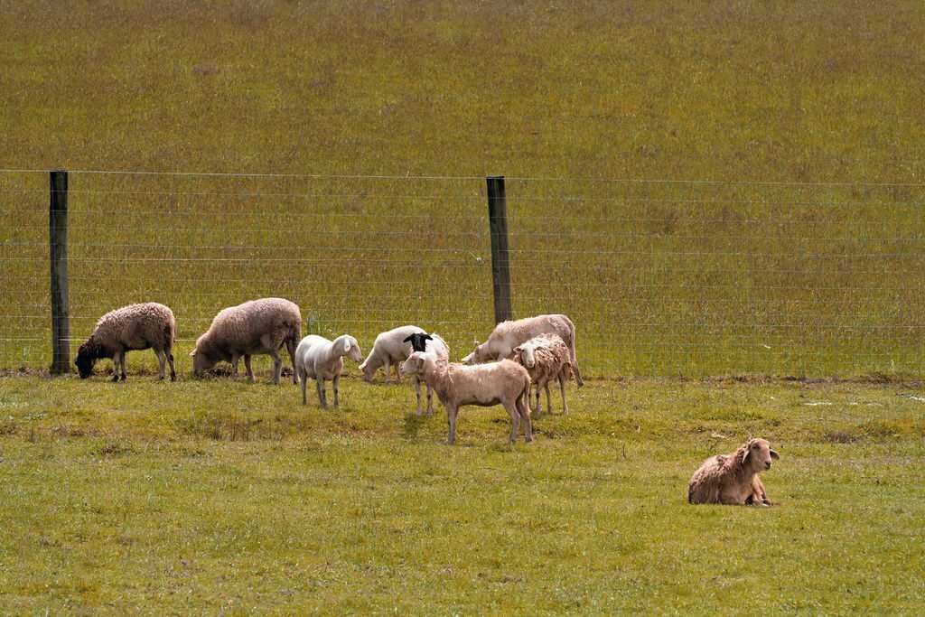 Photo of Others in Wesburn