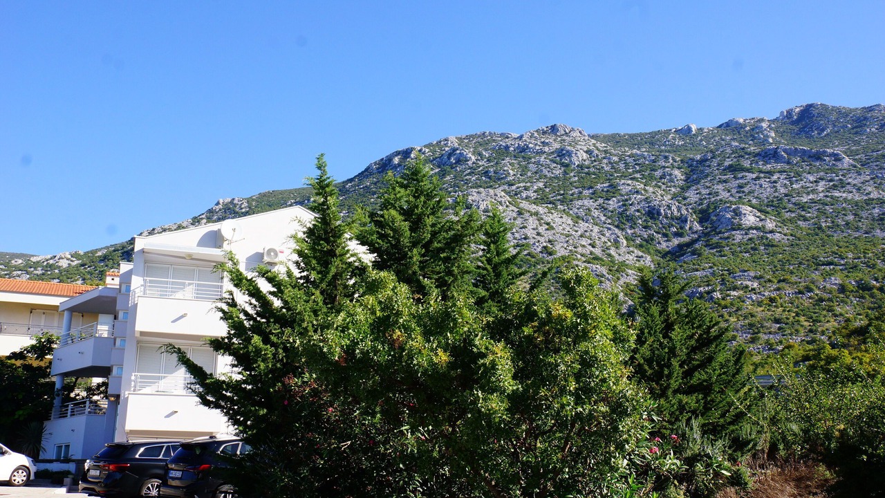 Photo of Outdoor in Ribarica