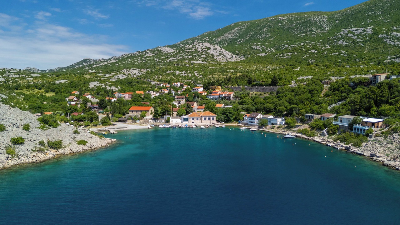 Photo of Others in Ribarica