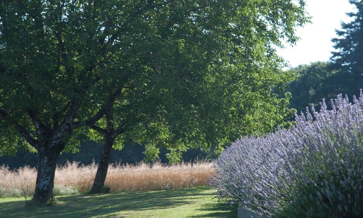 Photo of Outdoor in Sarrazac