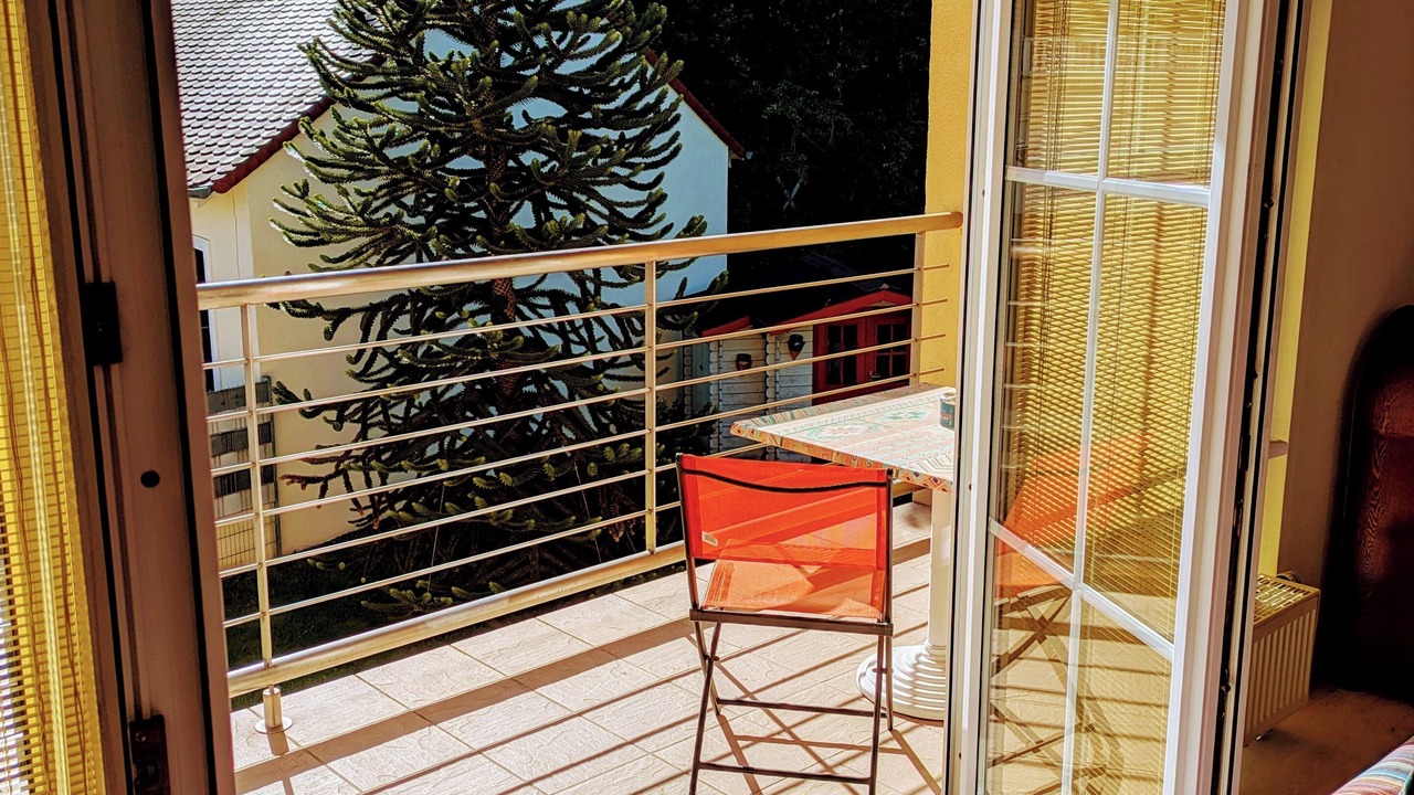 Photo of Others in Betting